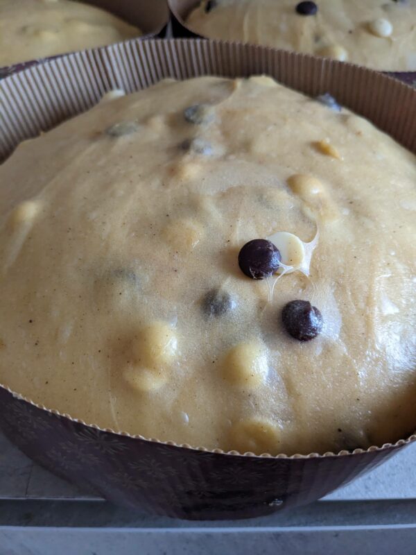 Corso Panettone - Consulenze per professionisti - immagine 2
