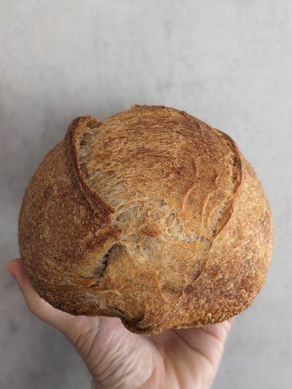 Pane
