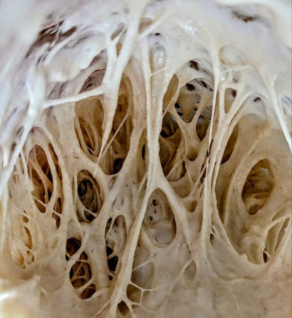 Lievito Madre - immagine 3