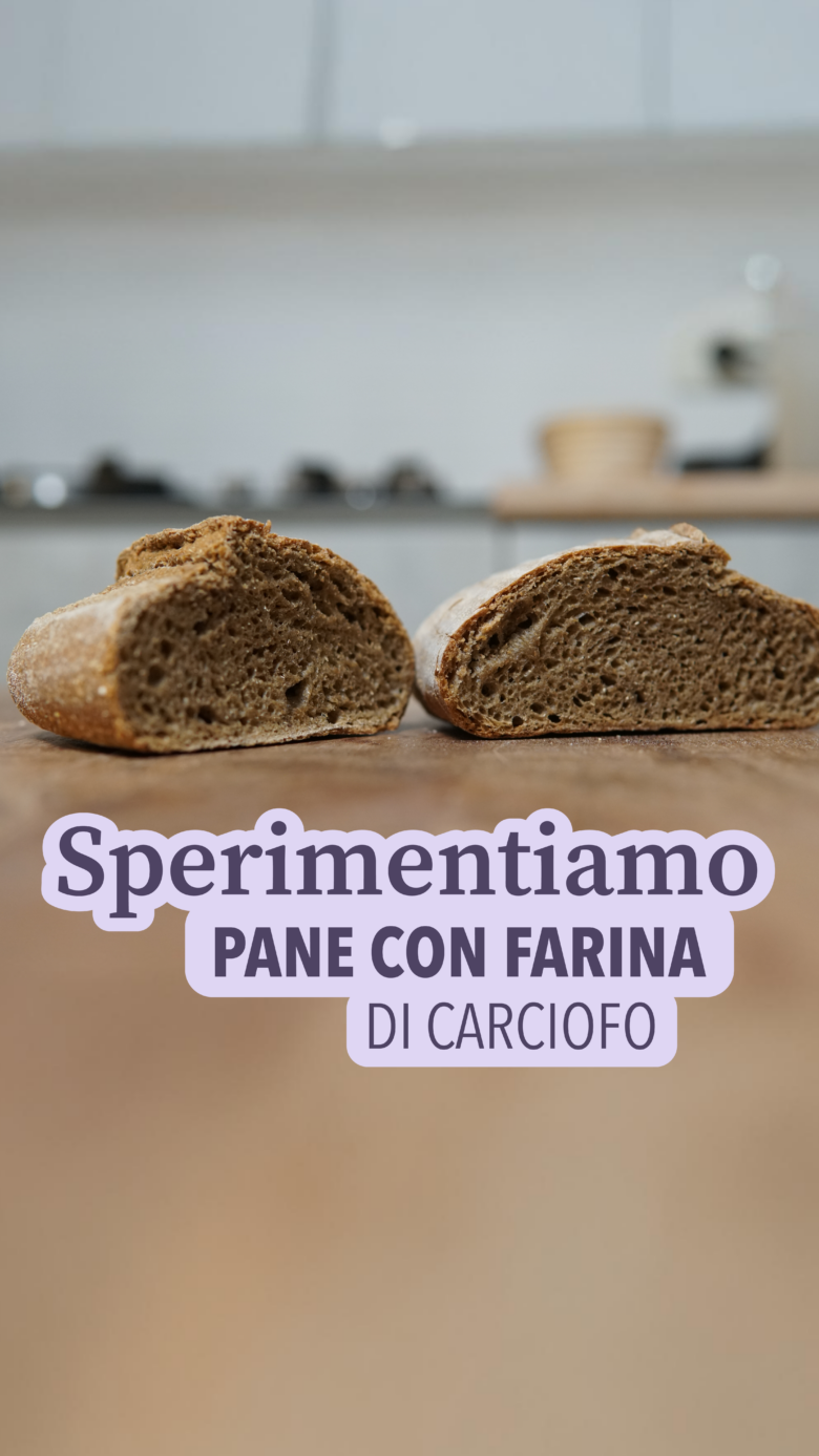 farina di carciofo